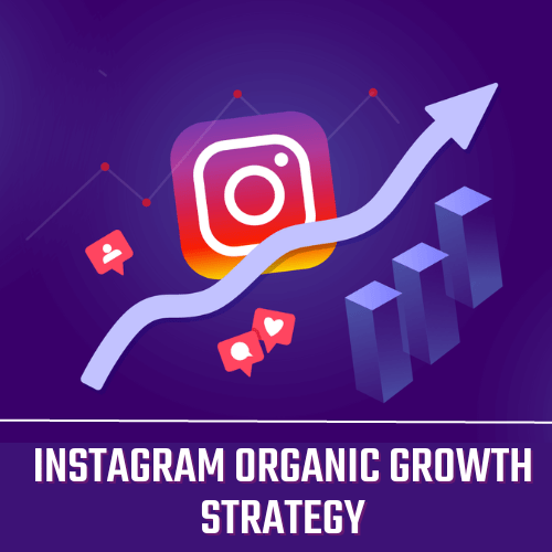 Instagram Organic Growth Strategy